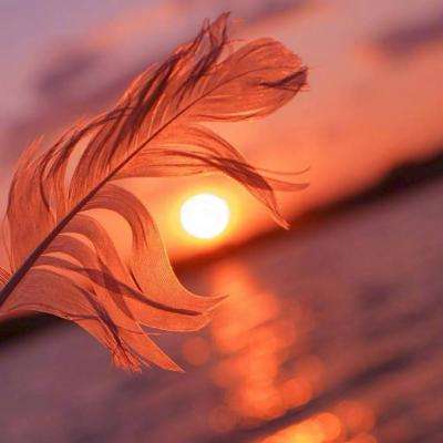 万博体育app下载官网