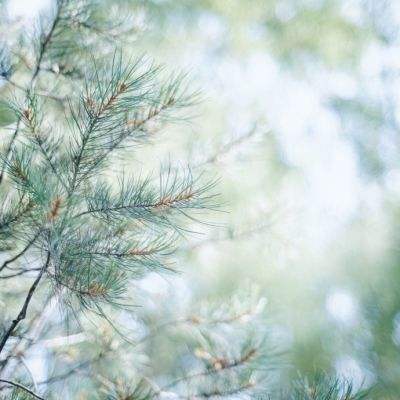 星空体育app下载app下载